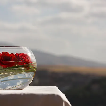 파라도르 데 4* 세고비아